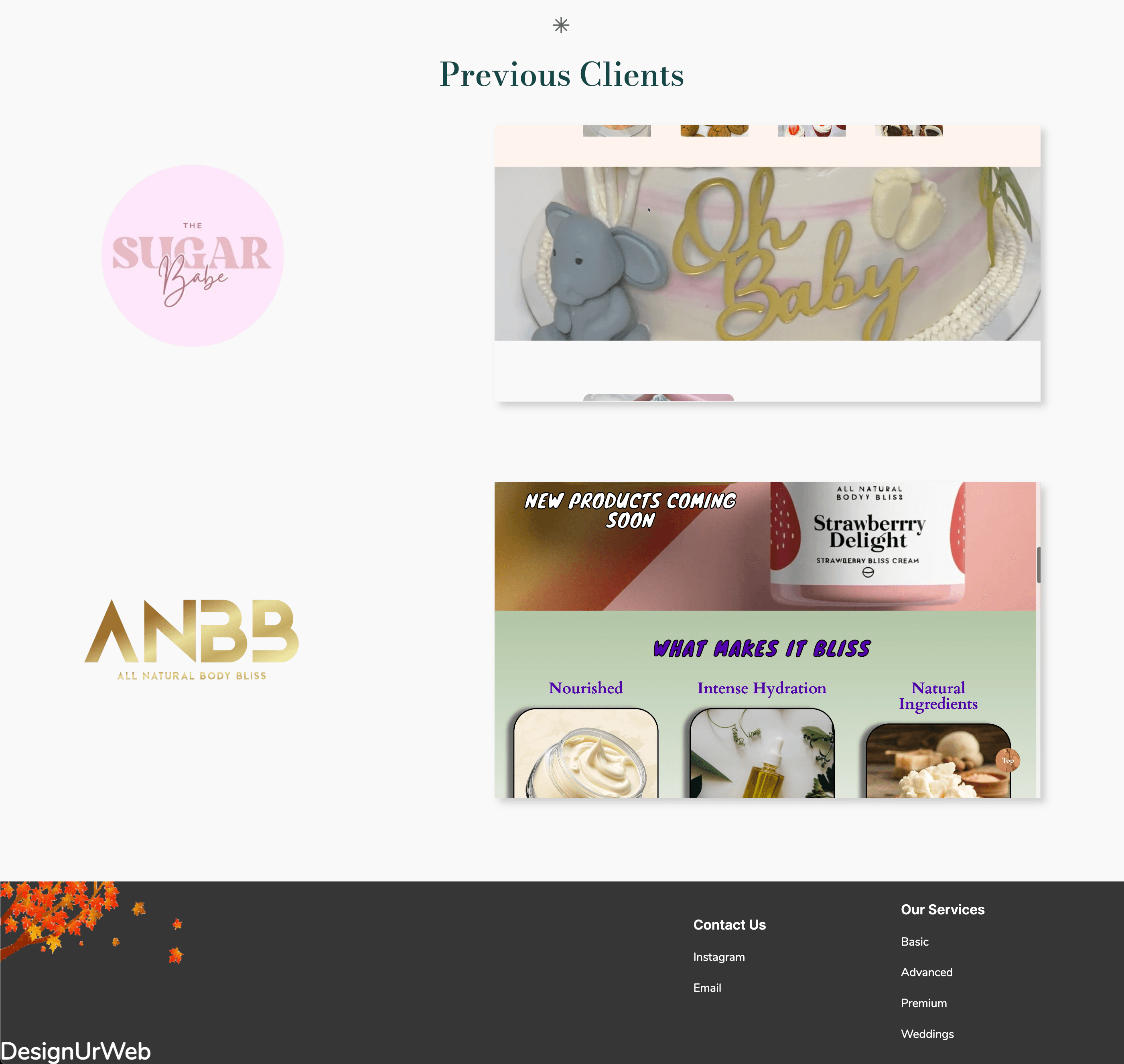 DesignUrWeb screenshot 4